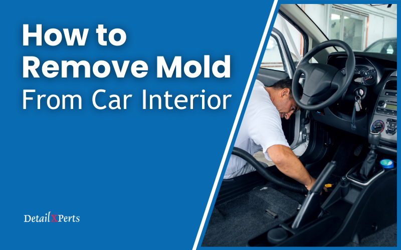 How to Remove Mold From Car Interior