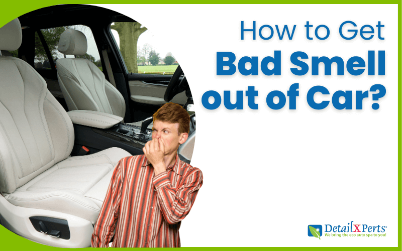 How to Get Bad Smell out of Car