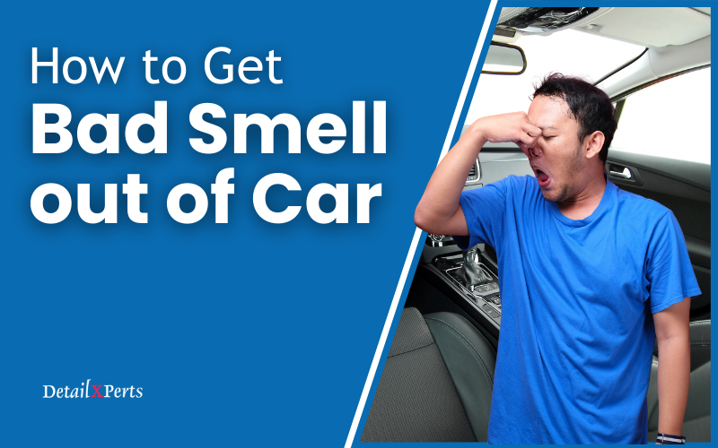 How to Get Bad Smell out of Car