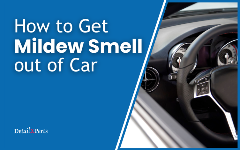 get-mildew-smell-out-of-car-carpet