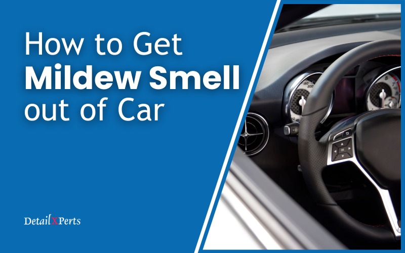 How to Get Mildew Smell out Car