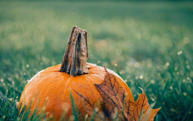 How Is Halloween Celebrated Around the World?