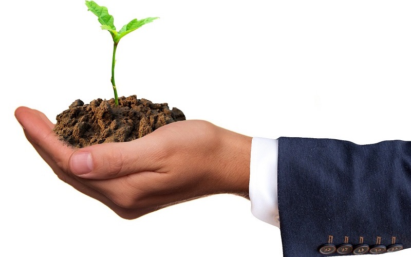 5 Advantages of Being an Eco Business Owner
