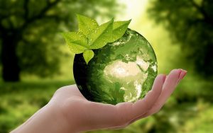 Franchises Businesses That Help Mother Earth