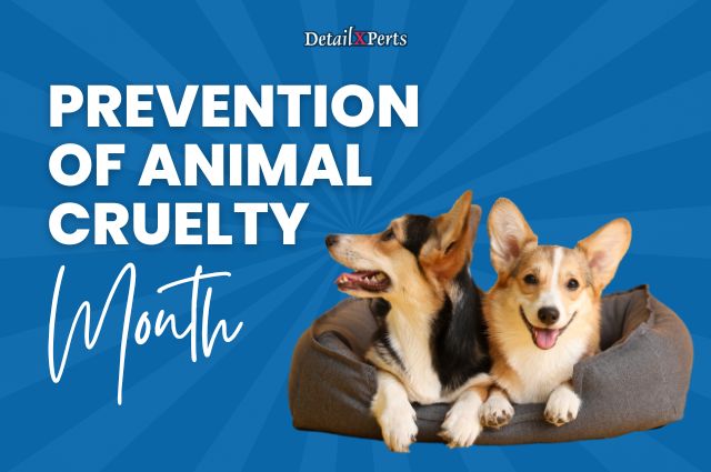 Prevention of Animal Cruelty Month Special