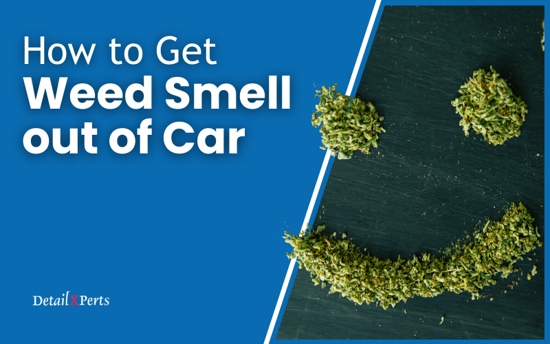 How to Get Weed Smell out of Car